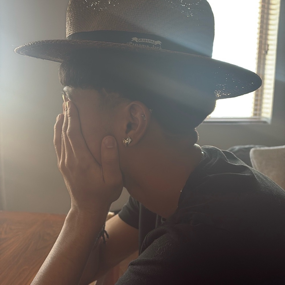 Stylish Black and Brown Hat